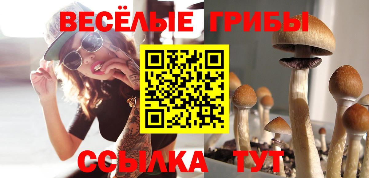Белореченск  Галлюциногенные грибы мицелий  как найти закладки  Вход с VPN 